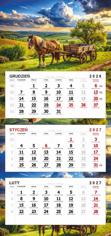 Kalendarz trójdzielny główka bez wypukłości KTR2 63508 DARRIEUS